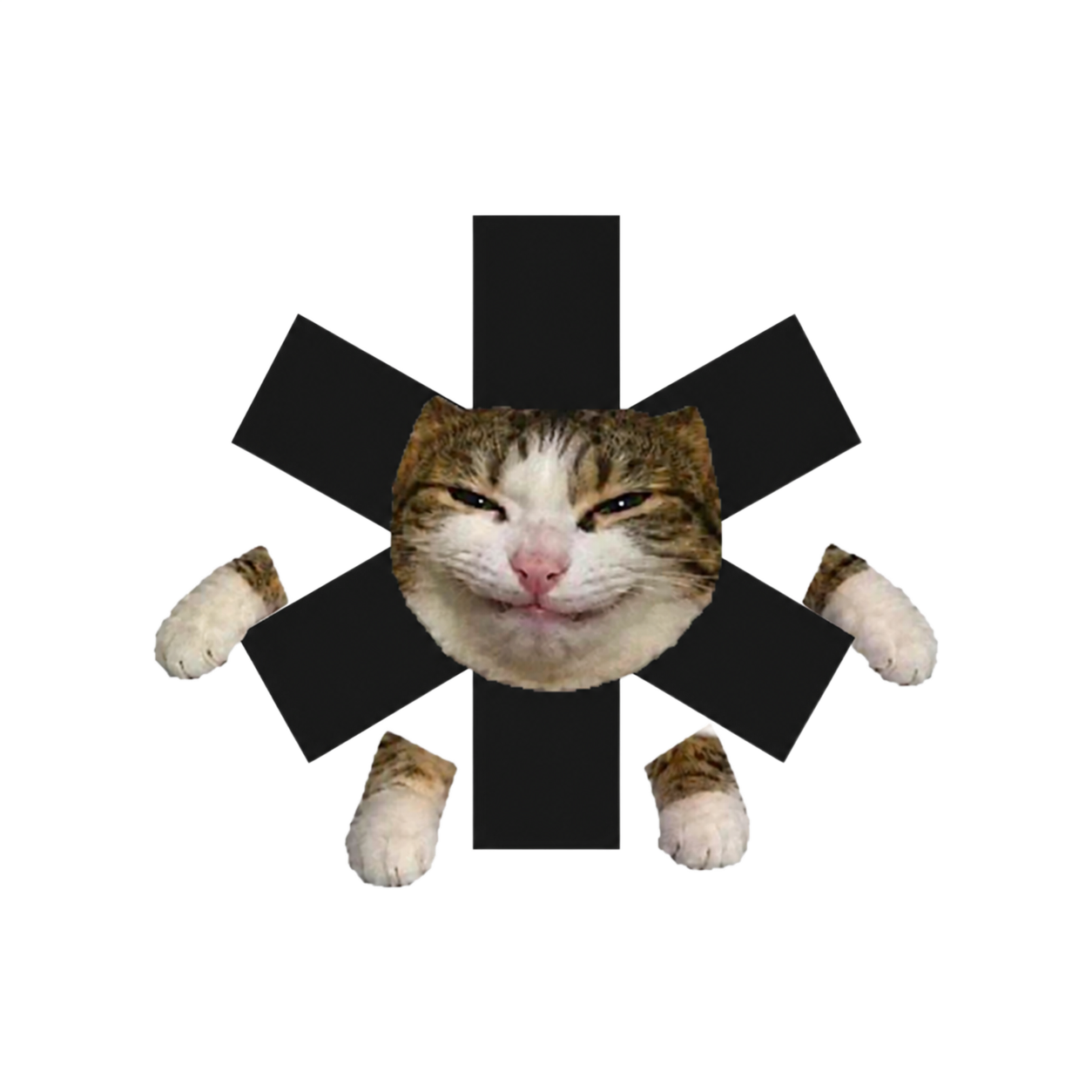 Password Cat